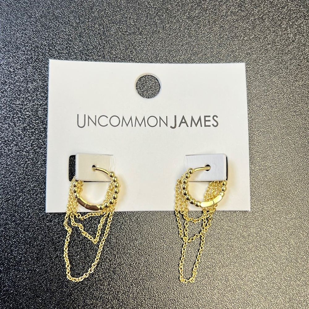 Uncommon James earrings